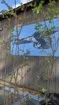 Image 3 of Baldhip Rose : Rosa gymnocarpa