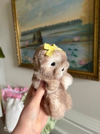 Image 3 of Fluffy Seal