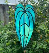 Image 1 of Turquoise Anthurium