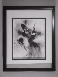 Image 1 of Vampire Bat Art