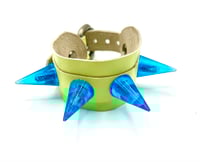 Image 1 of Blue Algea