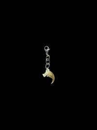 wild cat claw charm
