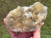 Image 2 of Barite & Yellow Cubic Fluorite From Beijing #2458
