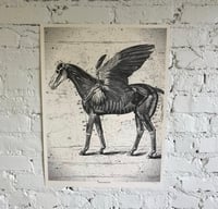 Pegasus Art Print