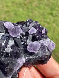 Image 11 of Purple Cubic Fluorite Specimen #1614