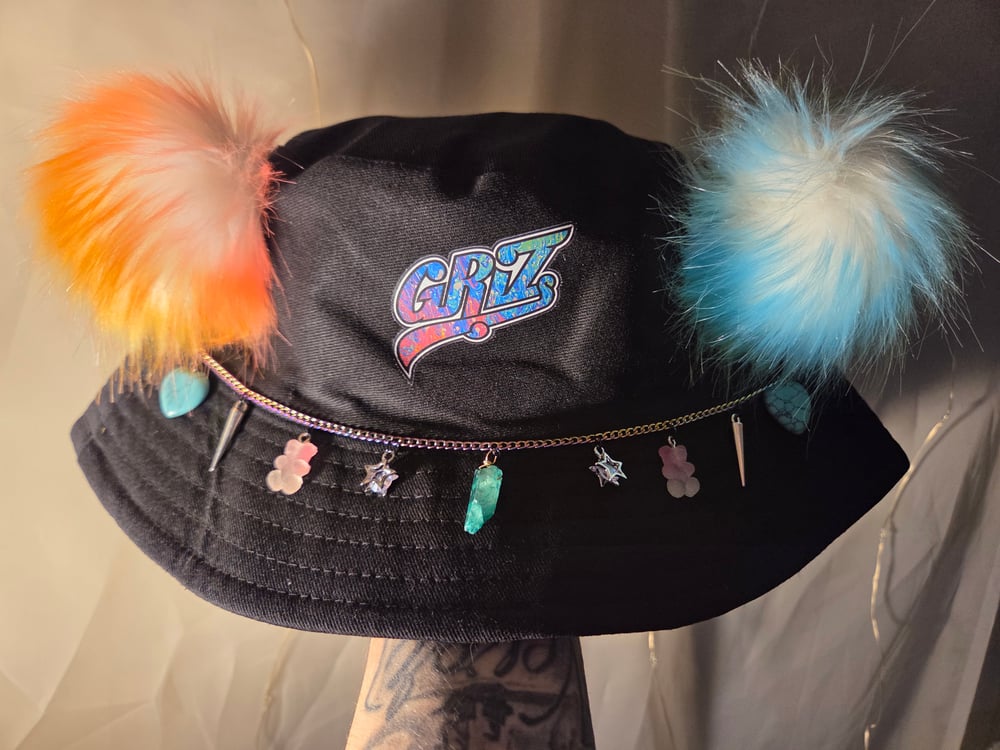 Image of Griz