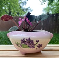 Image 1 of African Violet in Lavender Flower Bowl