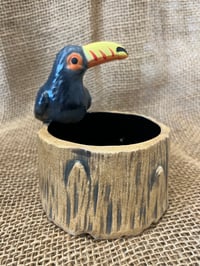Image 2 of Toucan Stump