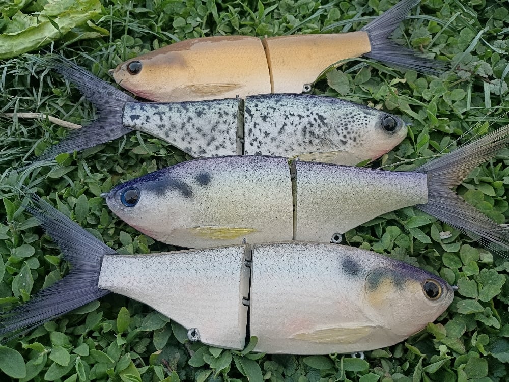 Image of 9 inch Snack