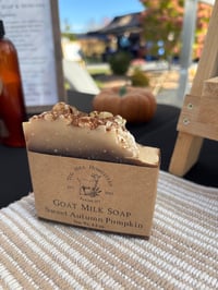 Sweet Autumn Pumpkin