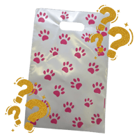 ✨🎁Mystery Gift Bags🎁✨