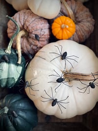 Image 1 of Spun Cotton Spiders (set of 12)