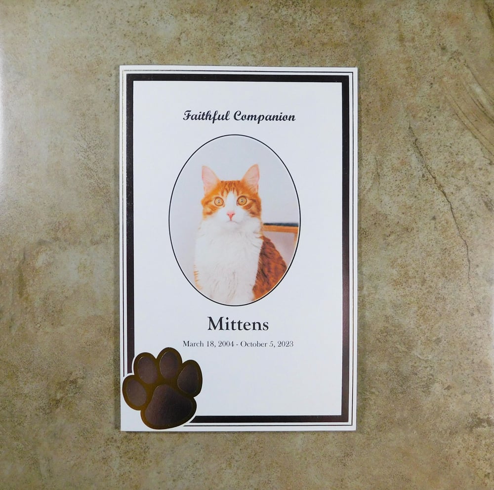 Paw Program - Bifold