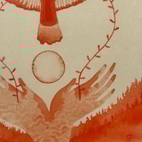 Image 7 of “Cathartes Aura”