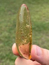 Image 7 of Copal Amber With Preserved Insects #2629