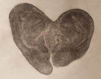 Image 2 of Klara Hobza, Ears of a 38 and 48 year old, 2021, pencil on paper, 29,7 x 21 cm 