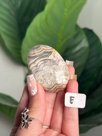 Image 10 of MEXICAN LACE AGATE PALM STONES
