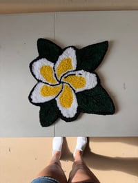 Image 2 of Plumaria 