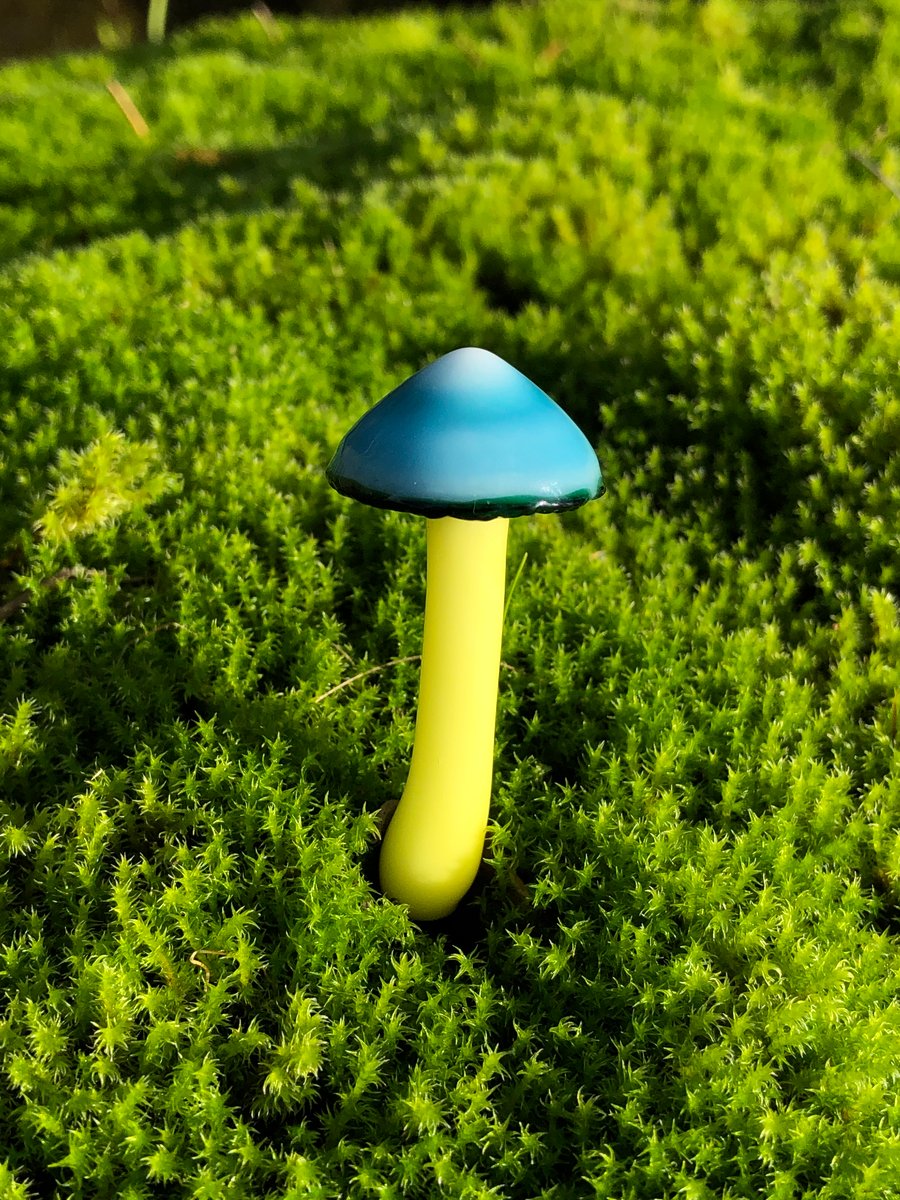 Image of Blue Green Ringer Mushroom Plant Spike