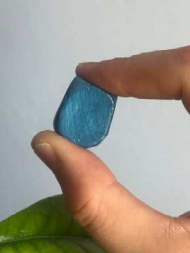 Bean Image 4