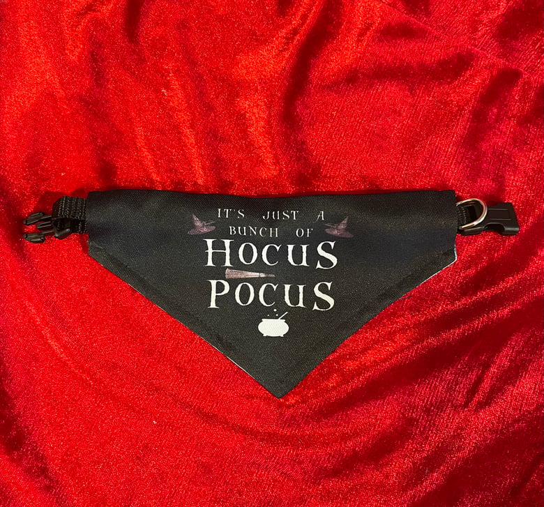 Image of Hocus Pocus Pet Scarf