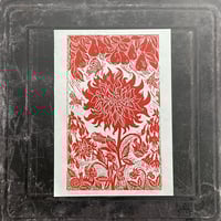 Image 1 of Dahlia Labyrinth