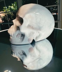 Pastel Ocean Jasper Skull