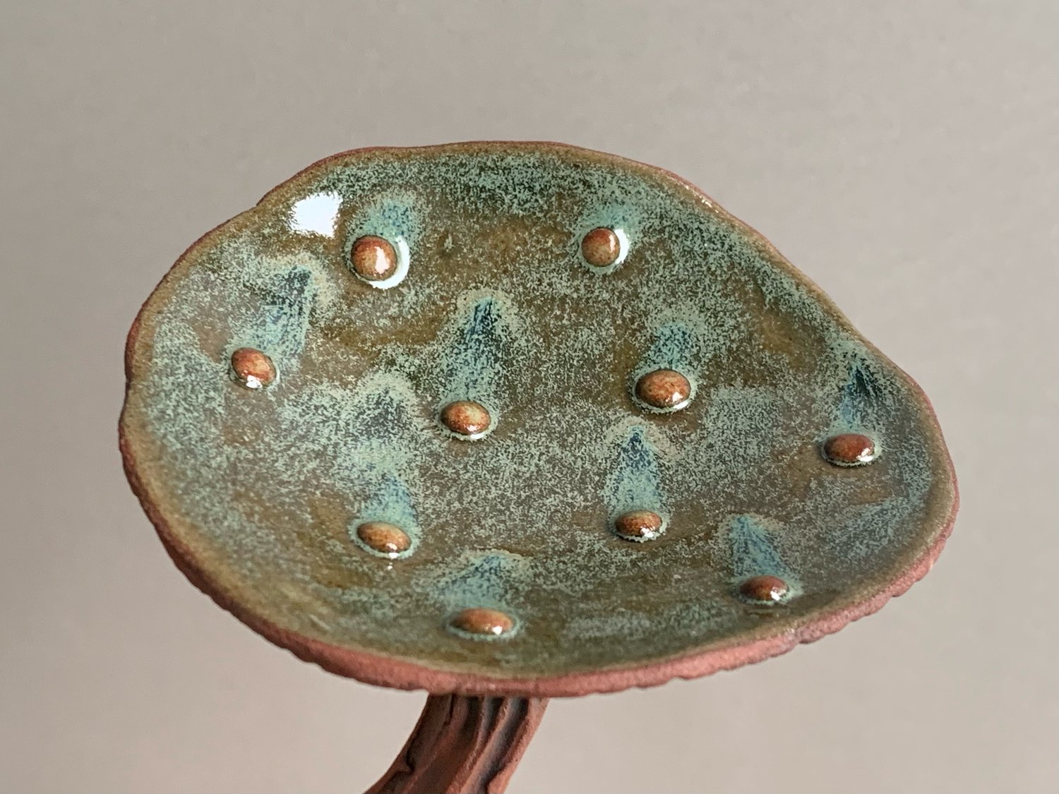 Image of Green Wall Mushroom 