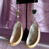 Image 2 of Abalone shell earrings (medium)