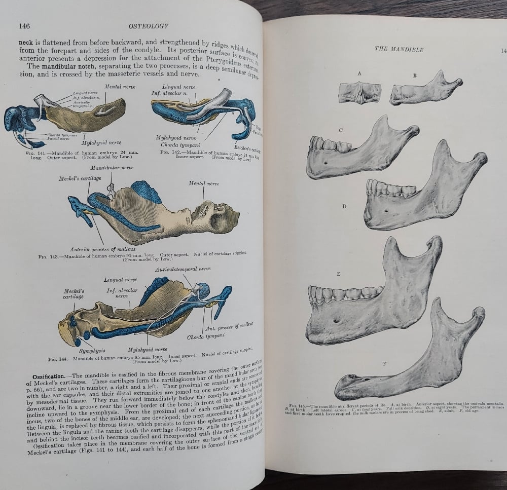 Gray's Anatomy, by Henry Gray - 1943