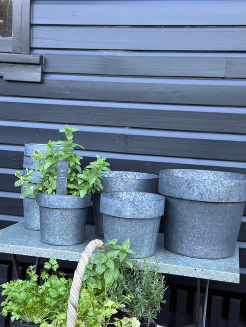 Image of Tinware Pot