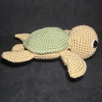 Image 2 of Medium size sea turtle 