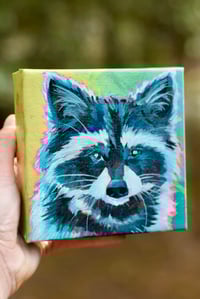 Image 2 of Trash Panda (Shelfie)