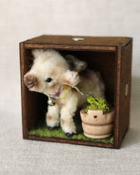 Image 1 of pipe cleaner Panna the highland calf