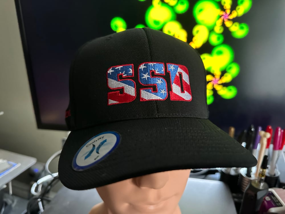 SSD Democracy hat with Vote Blue rear logo & Save Democracy side logo