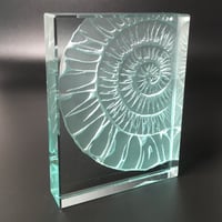 Image 1 of Ammonite Glass Block