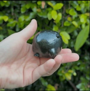 Image of Magical Rain Frog