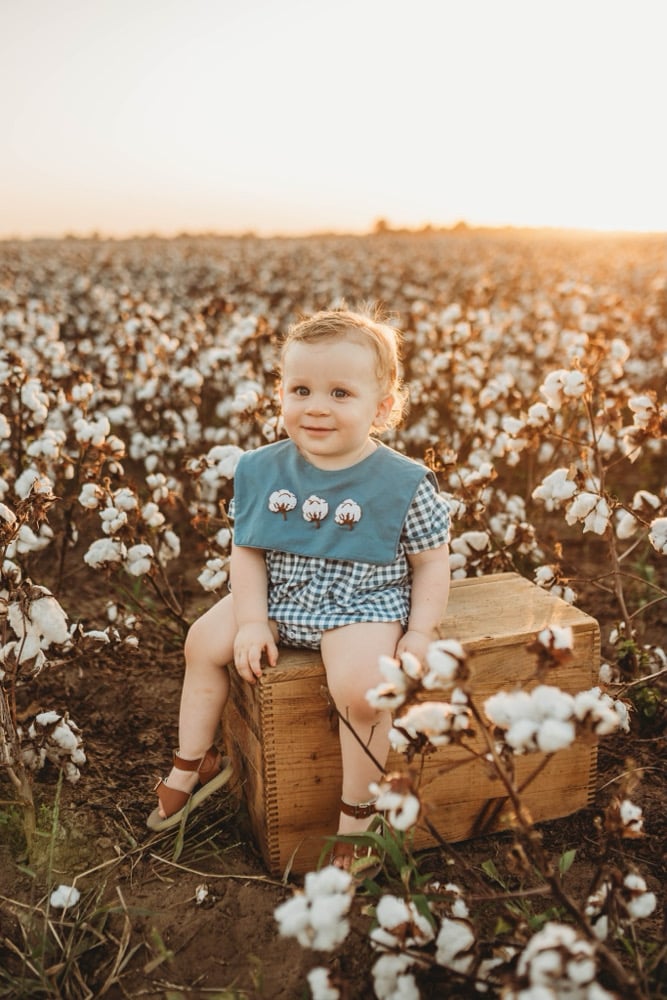 Image of Cotton Mini Session (READ DESCRIPTION)