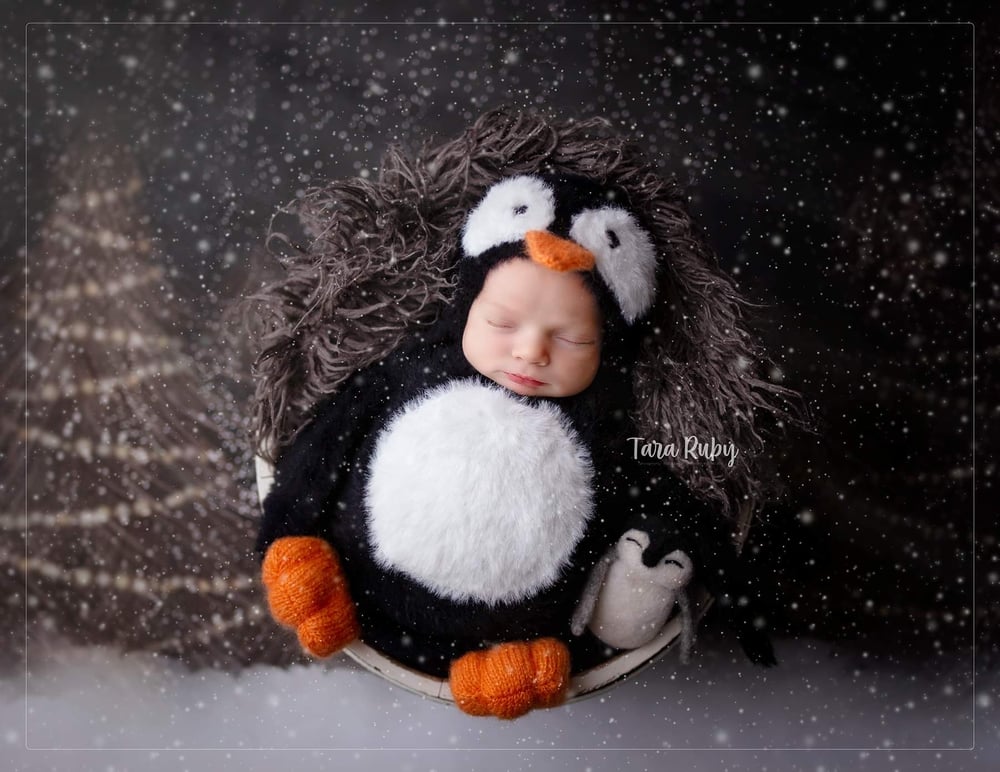 Image of Fluffy Little penguin potato pouch and bonnet