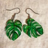 Monstera Leaves