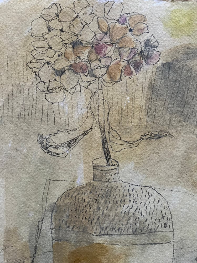 Image of Winter hydrangea. 