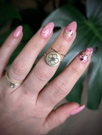 Image 2 of CPC Rings