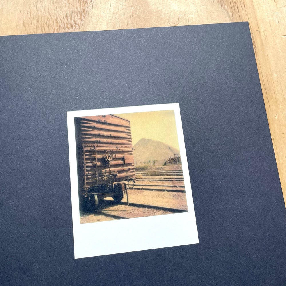 洋書 William Eggleston Polaroid SX-70 William Eggleston - Polaroid SX-70 | Photobook Junkies