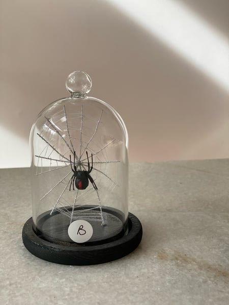 Image of Redback aider and web B faux taxidermy 