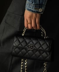 Image 1 of CC 25 Mini Bag