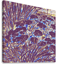 Image 3 of Twilight Garden