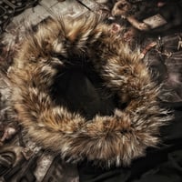 Image 3 of Environmentally Hazardous L_COYOTE_GROTZEN