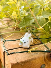 Image 4 of Dragon fruit Rabbit