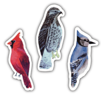 Image 1 of Midwestern Bird Vinyl Stickers 