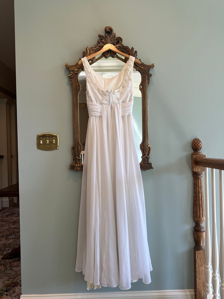 1960s Chiffon Empire | Estelle Amore 1960s Chiffon Empire | Estelle Amore